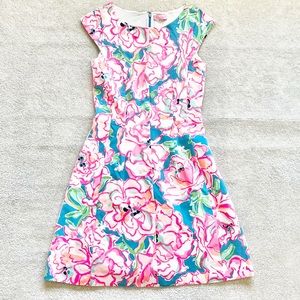 LILLY PULITZER HOLY GRAIL Briella Dress Size Small Preppy Pretty Floral Feminine